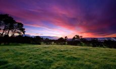 如何在家中摆放招财童子以获得事半功倍的财富运势?