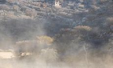 2022年12月适宜养殖的黄历吉日推荐