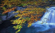 5处痣不贫则富,女性脸上这些痣标志着心存善意、乐观向上,眉心痣更是传统富贵之相!