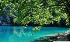 在家居装饰中需要特别注意的风水元素:如何选取适当的摆设位置?