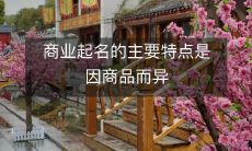 在商业起名中,因商品而异是其主要特点