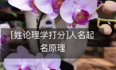 人名命名原则:基于姓氏和论理学的打分方法
