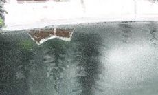 关于龙年出生者的工作区域风水布局的相关要点和建议