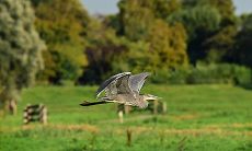 在扫墓期间,如何避免晦气并保持吉祥祈福状态?