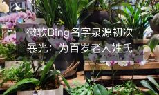 揭秘微软Bing诞生之初:其命名源自一位百岁老人的姓氏