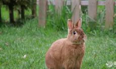 以任意多种方式改写标题,以下为几种例子: