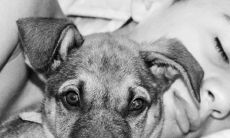 当我们在梦中遇见某人,会不会在现实中感应到他们?而他们在梦中出现,到底代表着什么?