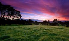 在传统婚礼中,子孙桶应该由男方还是女方准备更加合适?