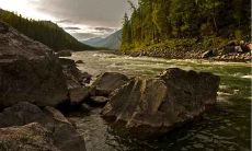 根据生肖属相配对原则,属兔人的理想婚配对象是哪些属相呢?结合实际案例,探讨属兔人与哪些属相在一起婚姻最幸福