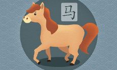 2020年桃花劫来袭,是否注定马年人要走上二婚之路?如何有效破解桃花劫,让属马人重新拥有幸福爱情?