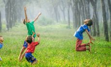 独特的上等时柱,你应该了解哪些特点和属性?