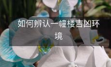 通过哪些指标可以判断一栋建筑物的磁场、气场、地磁场和环境气氛,以评价其吉凶属性?