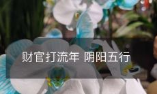 财务官员运用阴阳五行之术应对流年挑战的经验分享