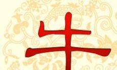 1973年生肖牛的人:你的财运将如何?哪些出生日期拥有更好的财富资本?