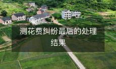 揭秘测量花费产生的纠纷及最终解决方案:追踪全过程,解析关键细节!