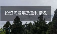 投资与财务发展:了解企业盈利状况以获取更好的投资回报