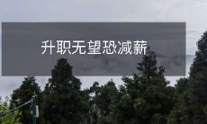 如果你升职没有前途,那么很可能会面临收入减少的威胁!