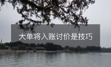 揭秘大单入账秘诀,学会讨价还价技巧从此轻松实现成功交易
