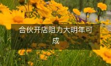 在合伙开店过程中遭遇巨大阻力,但经过努力,明年有望成为成功企业