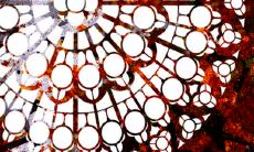 通过八字合婚方式判断:男性属牛和女性属虎的个性差异是否对婚姻有影响?