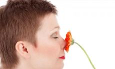 最全面相学鼻子图解:全面解析鼻子的命运和意义