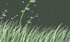 首次迈进2013年10月,探寻生肖鼠繁华运势之初步展望