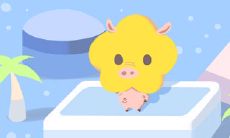 探寻生肖猪终身命运:从爱情事业到财富运势的全面解析