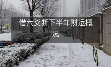 利用六爻预测下半年财运前景的方法和总览