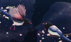 运?真的如传统文化所描述的那样悲惨吗?——探讨断掌手相的命运与传统文化的真实性