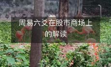 探究周易六爻与股市商场的奥秘:从结构到演化的解读