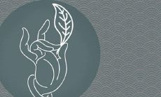 放绿萝在冰箱上的风水效应,好坏取决于摆放位置和植物状态,如何进而运用其招财、旺运的潜力呢?