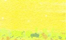 2013年8月生肖猪的第一运程:揭示未来趋势的月度运势解读