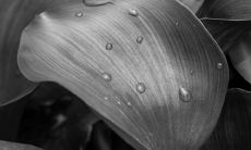 如何掌握民间择日看日子的必备歌诀?