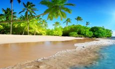 越来越合拍的属龙人和哪些生肖能与之成为最佳匹配?-探究生肖虎配对可能性