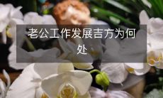 可以帮助老公实现职业生涯成功的最实用建议在哪里?