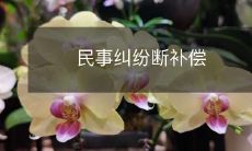 在民事纠纷中,如何进行断补偿以保障受害人利益?