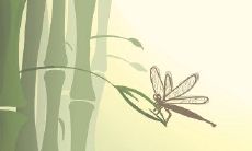 精选12生肖如何表现自己对爱的承诺,让人动容的浪漫方式全曝光