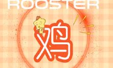 属鸡人约会时需注意的误区与忌讳:避免陷入尴尬且增加成功率的建议