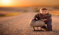 2023款顾姓兔宝宝名字集锦:富有创意的个性化命名推荐