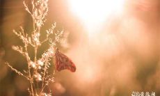 2023年全年破日凶日汇总:预测未来一整年中所有不祥之兆和不吉之日,并呈现其详细含义和影响鲜明的背景