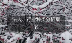 经过法人和行业种类的综合分析之后如何精准取名?