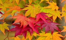 2023年1月07日的每日五行穿衣建议:选用招财旺运的颜色即刻提升好运!