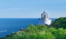 2023年1月10日的每日五行穿衣:大吉祥颜色查询,让你迎来好运!