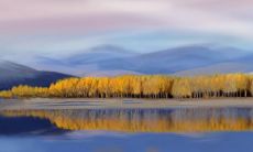 探究2023年1月04日每日五行穿衣:聚财之道分享穿衣颜色搭配指南