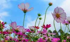 推荐好听帅气男宝宝名字——来自朱氏男孩的精选!