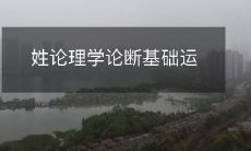 用于支撑姓氏理学所做出的论断的基础运作机制分析