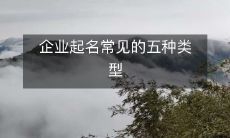 探究企业命名的五种常见类型以及其特点