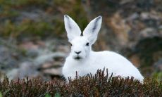 2023年出生宝宝的未来:从幸运儿到顺遂人生