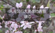 经过排查,揭露风闻公司大更改的真相:对于公司文化、战略、组织架构等所有方面都进行了全面升级,没有丝毫虚假