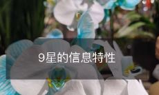 探究9颗恒星的信息特性:从大小、质量、轨道、化学元素到生命周期全方位解读